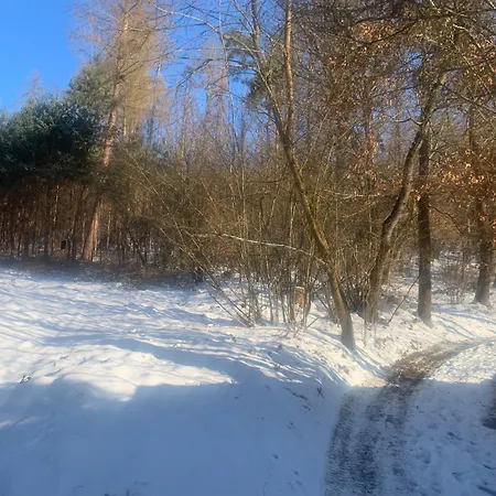 בית נופש Mares