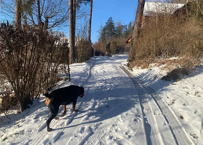 Mares Holiday home Samechov